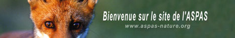 Cliquer ici pour accéder au site de l'ASPAS.